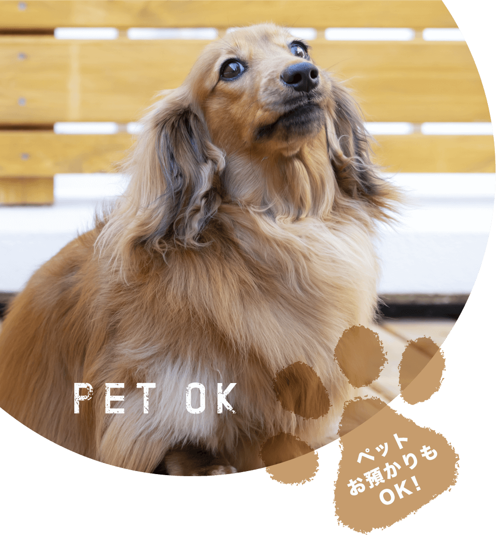 pet ok